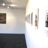 africa south - Installation view