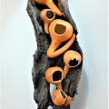 Boma Iyanganepo (The government should look into it), 2017. Gourds and string on driftwood, 140 x 27 x 17cm. (Image courtesy of the artist).