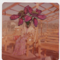 Head in the flowers, 2020.  Digital print, 14 x 14 cm. (Image courtesy of the artist)