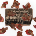 Snapdragon scouts, 2020.  Digital print, 24 x 16 cm. (Image courtesy of the artist).