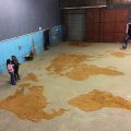 World in Document, n.d. Site-specific installation. (Image courtesy of the artist).
