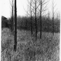 A Toothed Instrument 4, 1973. Land Art Documentation