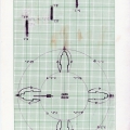 Primary Derivative, 1974. Diagram for Performance