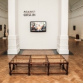 Against the Grain Installation View, Iziko National Gallery