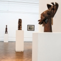 Against the Grain Installation View, Iziko National Gallery