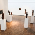 Against the Grain Installation View, Iziko National Gallery