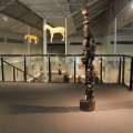Against the Grain Installation View at Sanlam Gallery