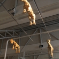 Against the Grain Installation View at Sanlam Gallery