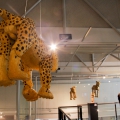 Against the Grain Installation View at Sanlam Gallery