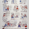 CAP Poster (Trish de Villiers), What Is the New Constitution?