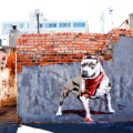 Mural on derelict wall in Woodstock. I ART SA Community Mural Project, Woodstock, Cape Town