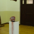 The Dream of the Somnambulist, 2012. Plastic carrier bags, water, coffee, cocoa, sugar, food colorant, cotton cloth and plaster cast. (Image courtesy of the artist).