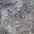 Detail of a South African Landscape No: 1, 1997. Cement, bone fragments, bone ash, stones and acrylic on board, each 20 x 16cm. Artist's collection. (Image courtesy of the artist).