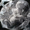 Growth, 1997. Bone, bone ash, coal, mild steel and cement on board, 57 x 52 cm. (Image courtesy of the artist).