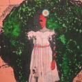 Stop the Killing. Silkscreen, lithography. (Image courtesy of the artist).