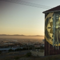 Harvest, 2014. Cape Town. (Image courtesy of the artist)