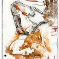 Xnau 41, 2013.