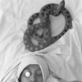 Wives, Talismen and the Dead, 1983. Photograph, dimensions variable. (Photo: G Hallett)