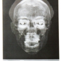 Profiled 2, 2014
