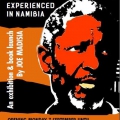 African Paradox, Exhibition Poster 2015