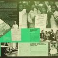 Working Women's Rights. Women's series. Mayibuye Centre. 42 x 59.4 cm