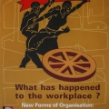 New Forms of Organization, 2009. 42 x 59.4 cm. Annual ILRIG-Rosa Cape Partners' Conference