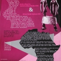 Gender, Honours in African Studies. Course Advertisement. 42 x 59.4 cm. UCT