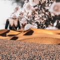 Dunes, 2013. Digital collage (Image courtesy the artist)