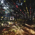 Life Tunnel. 2016. Leaves, strings & mirror. Site-specific installation. (Image courtesy of the artist).