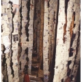 Yellow pages. 2000. Paper. Site-specific installation. (Image courtesy of the artist).