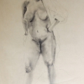 Nude Study, c. 1984  Pencil on newsprint. 52 x 79 cm. Artist's collection. (Photo: S Williams)