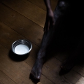 Izithunzi Zami 2, 2016. Photography. France. (Image courtesy of the artist).