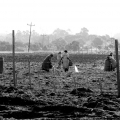 Rural KZN 5, 2014. Photography. KwaZulu-Natal. (Image courtesy of the artist).