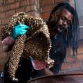 Ondaanisa yo pOmudhime/The Dance of the Rubber Tree, 2018. Live performance. Hamburg, Germany. (Image courtesy of the artist).