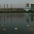 Power, 2006. Video, 20:00. (Image courtesy of the artist).