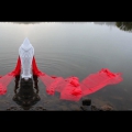 The Return, 2011. Video, 02:04. (Image courtesy of the artist).