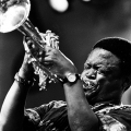 Hugh Masekela, n.d. Photograph. Rainbow Restaurant and Jazz Club, Pinetown. (Image courtesy of the artist)