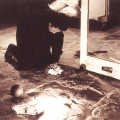 Ninth Haptic String, 1996. Castle of Good Hope, Cape Town, In "Faultlines" curated by J. Taylor. (Photo: M Lewis)