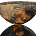 Caul Ngembethe, Hlabisa. Ceramics. 14.5 x 28cm
