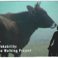 eVokability The Walking Project by Shelley Barry