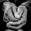 Clasped hands, 2016. (Image courtesy of the artist).