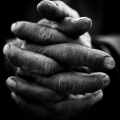 Hands, 2016. (Image courtesy of the artist).