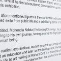 Thami Jali, Mphendla Ndlela installation view, KZNSA Gallery. (Photo: Paulo Menezes, courtesy KZNSA Gallery). 