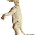 Meerkat, Wood