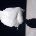 Inhabit, 2009. Photographic Print. (Image courtesy of the artist).