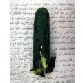 Crushed 2020. Photograph printed on coated paper, 10.5 x 14.8 cm (Photo courtesy of the artist).
