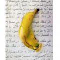 Crushed 2020. Photograph printed on coated paper, 10.5 x 14.8 cm (Photo courtesy of the artist).