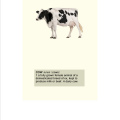 Etymology of derogatory words for women 2019. Photographs on Fabriano paper, 21  x 29.7 cm (Photo courtesy of the artist).