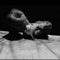 Yasmien_Ripped-Apart 2020. Video still, 22 seconds (Photo courtesy of the artist).